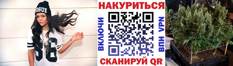 Бошки марихуана марихуана Чаплыгин